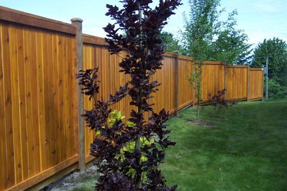 Five Reasons To Choose Wood Fencing For Your Backyard